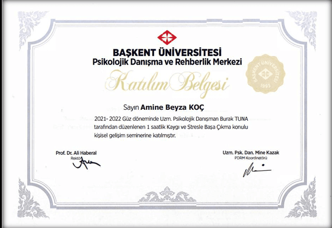 A K. — çalışma 2