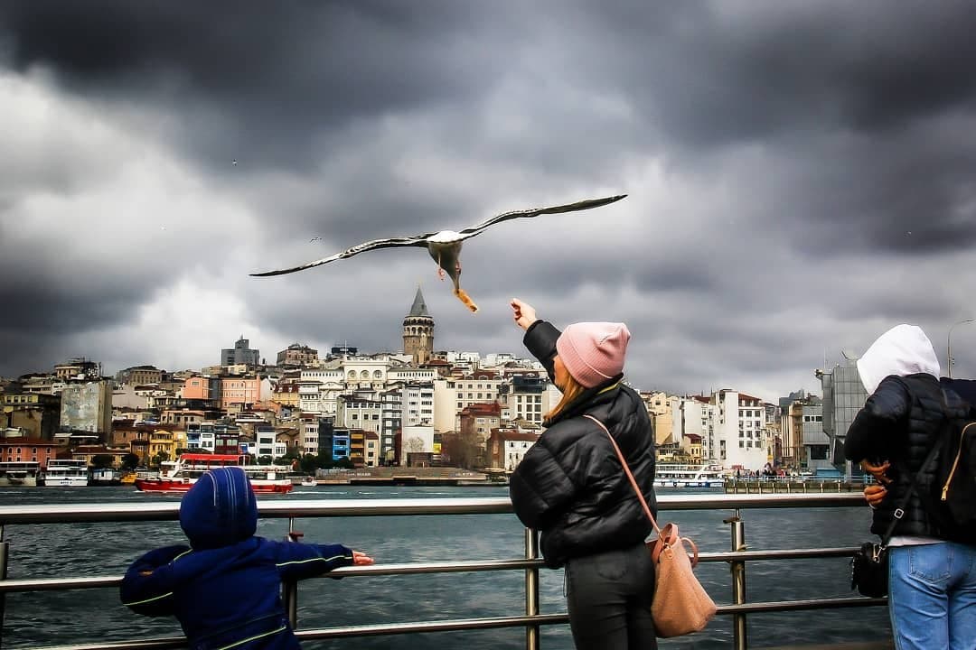 Abdullah A. — çalışma 1