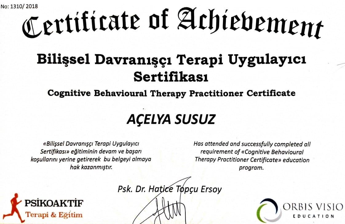 Açelya S. — çalışma 1