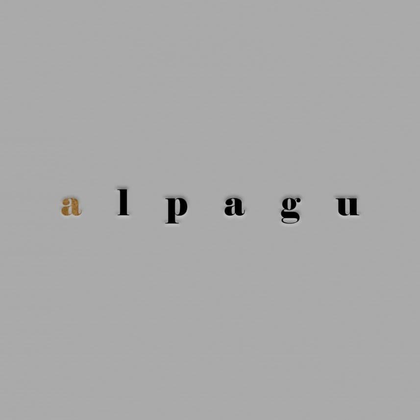 Ahmet E. — çalışma 4