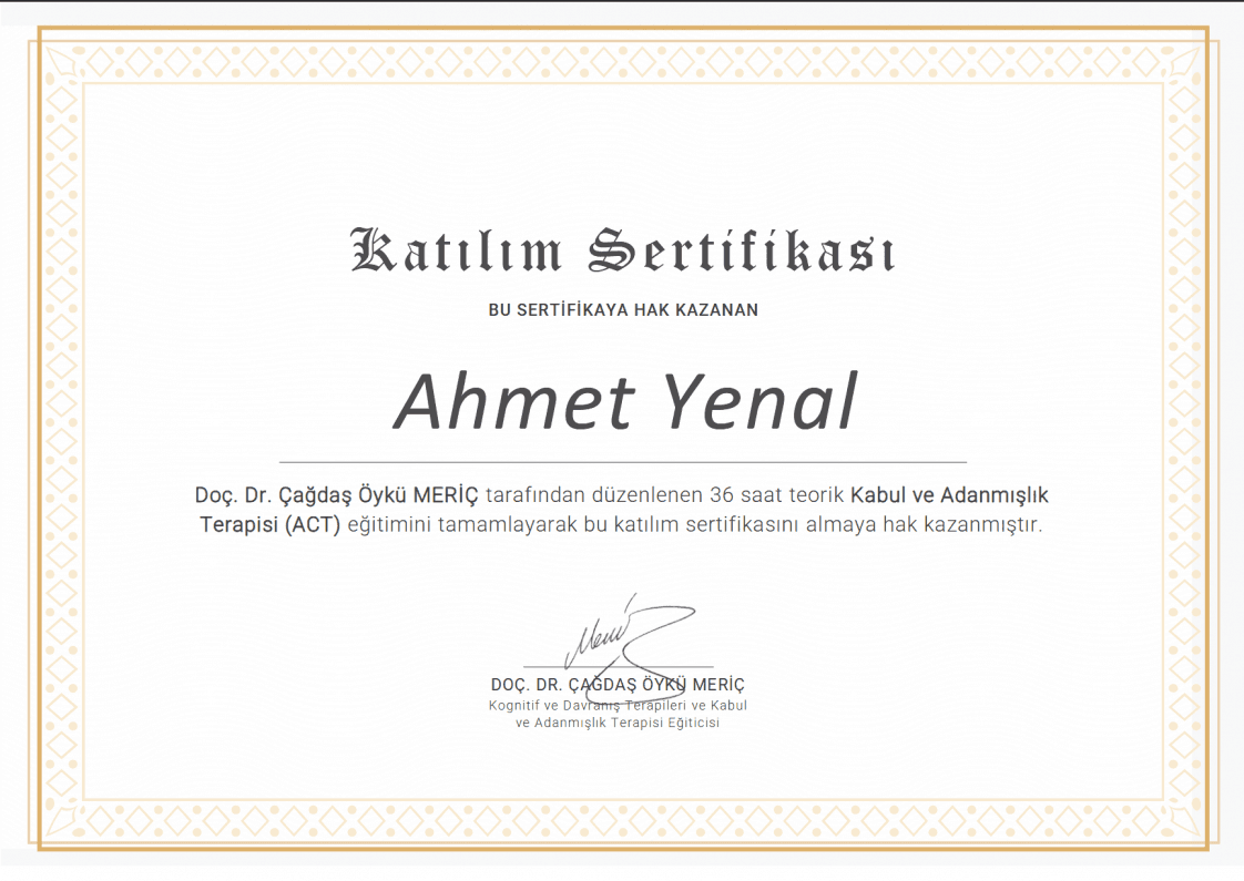 Ahmet Y. — çalışma 7