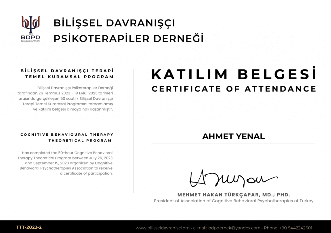 Ahmet Y. — çalışma 6