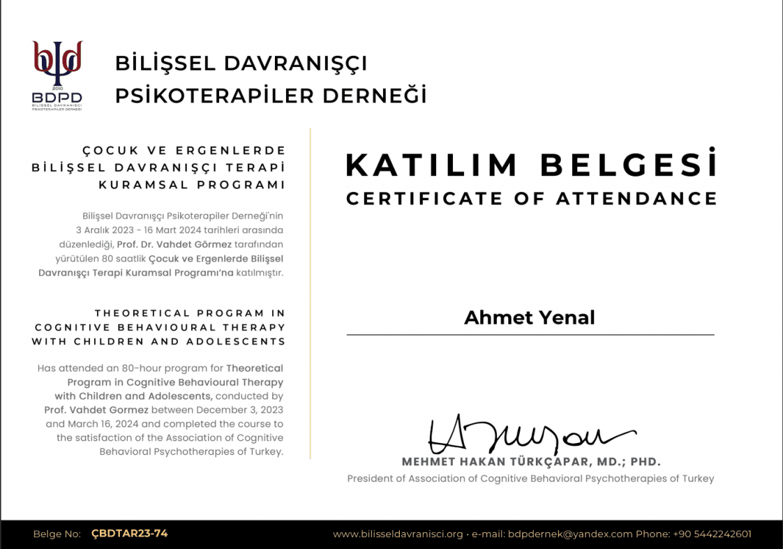 Ahmet Y. — çalışma 8