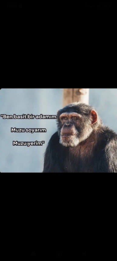 Ahmet K. — çalışma 1