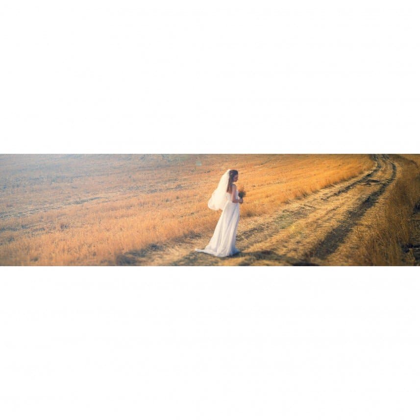 Alanguya — çalışma 1