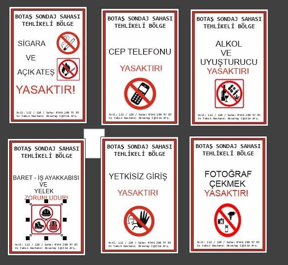Aleyna A. — çalışma 2