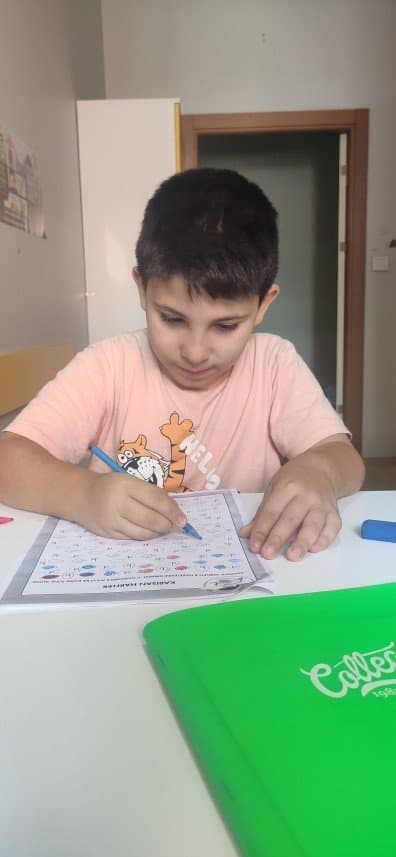 Ali A. — çalışma 4