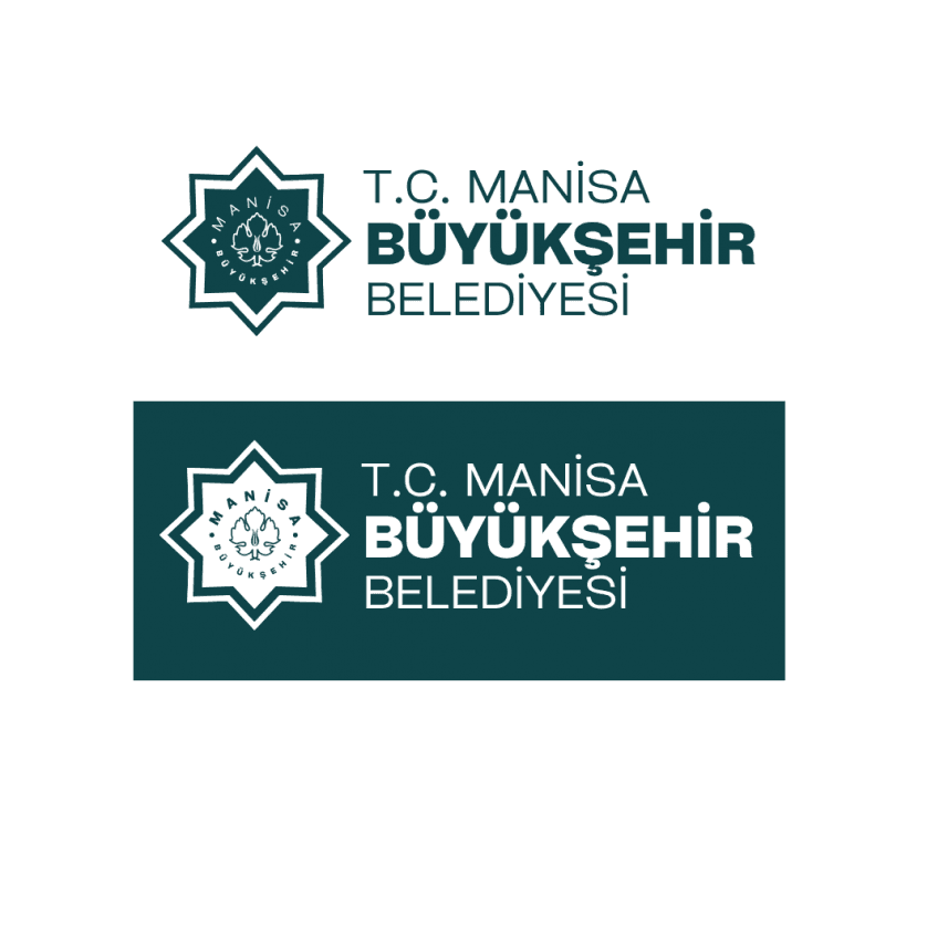 Ali D. — çalışma 3