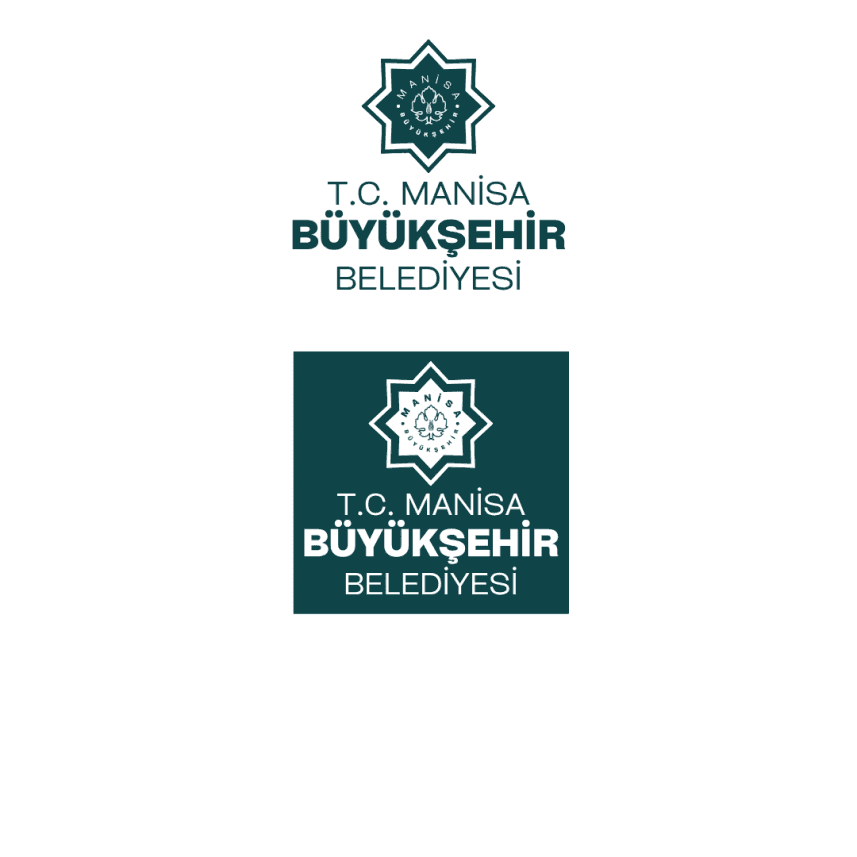 Ali D. — çalışma 1