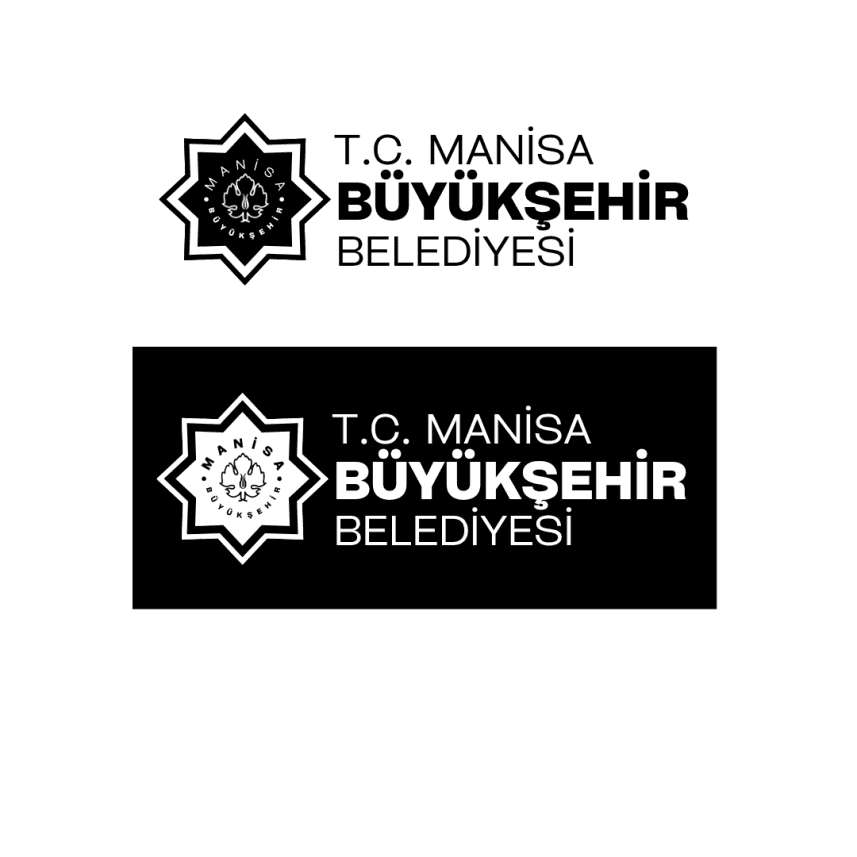 Ali D. — çalışma 6