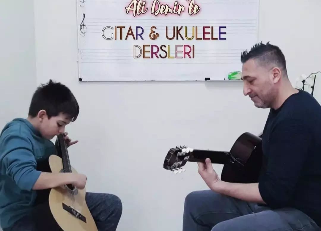 Ali D. — çalışma 1