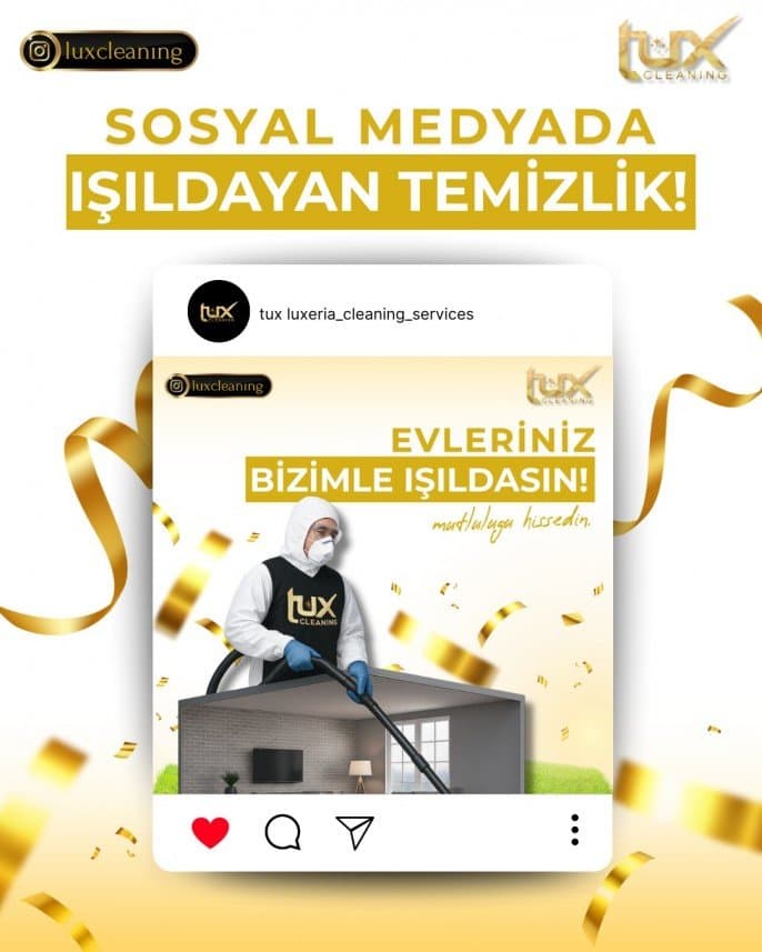Ali B. — çalışma 2