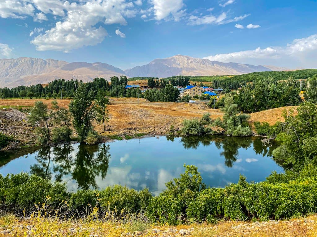 Ali K. — çalışma 6