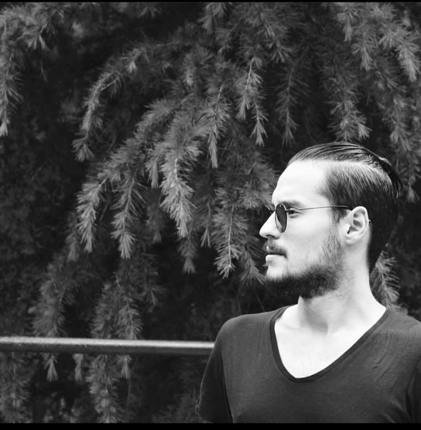 Alp İ. — çalışma 5