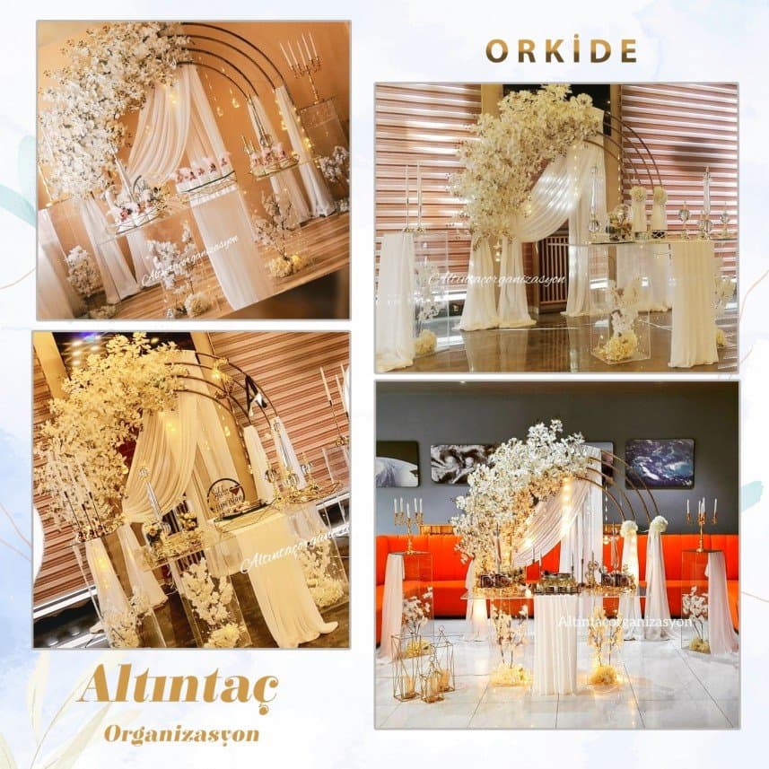 Altıntaç O. — çalışma 7