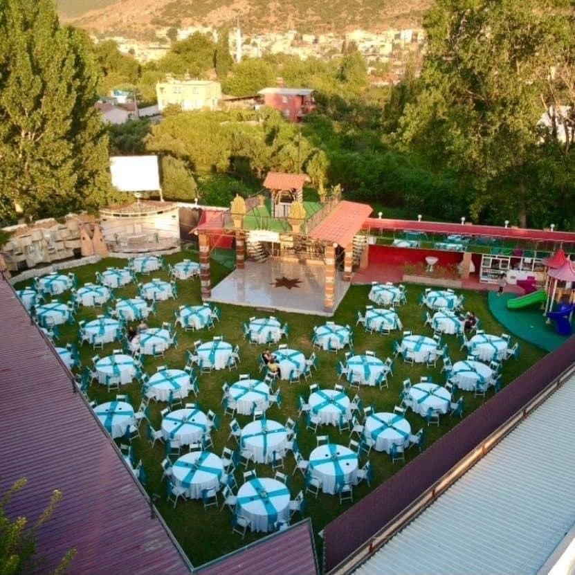 Alyans P. — çalışma 1