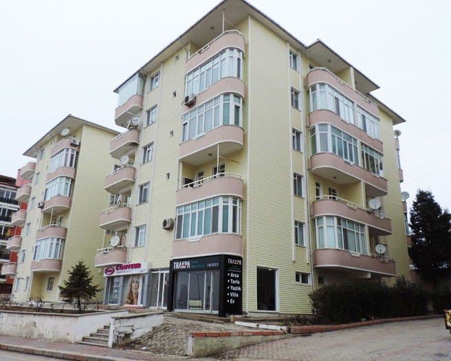 American S. — çalışma 2