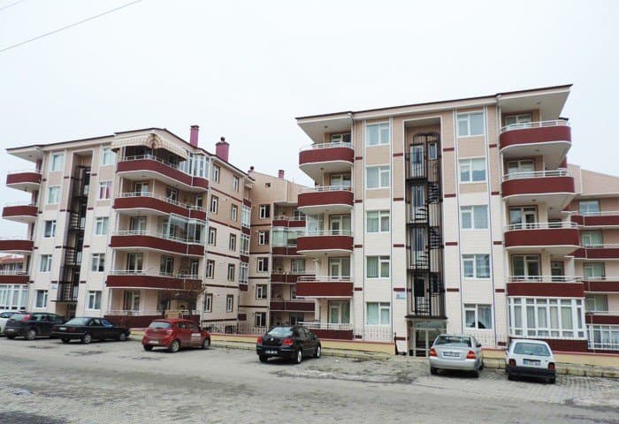 American S. — çalışma 3