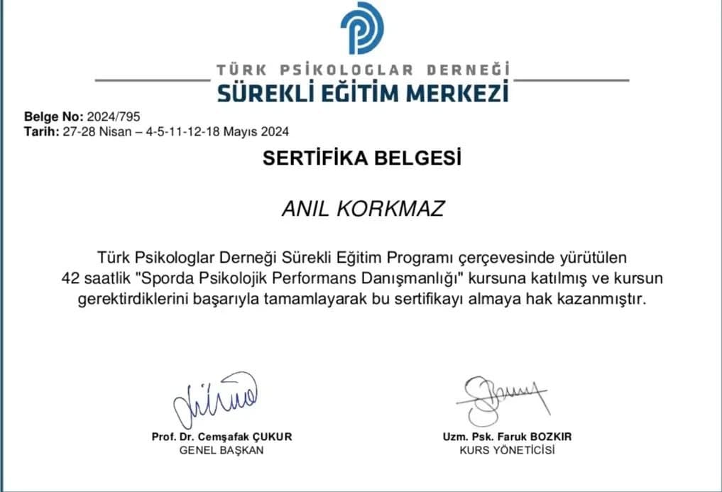 Anıl K. — çalışma 1