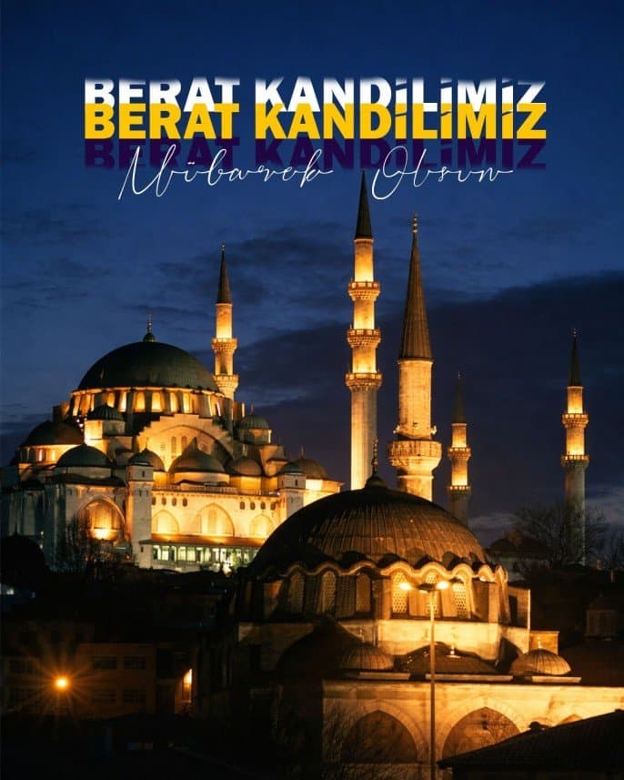 Arda B. — çalışma 5