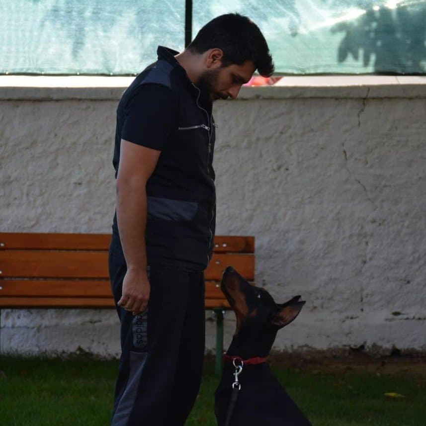 Arda G. — çalışma 2