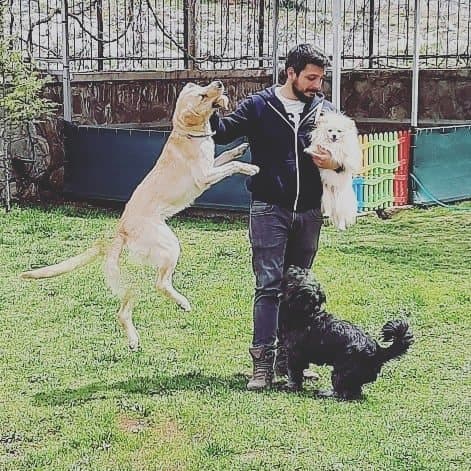 Arda G. — çalışma 4