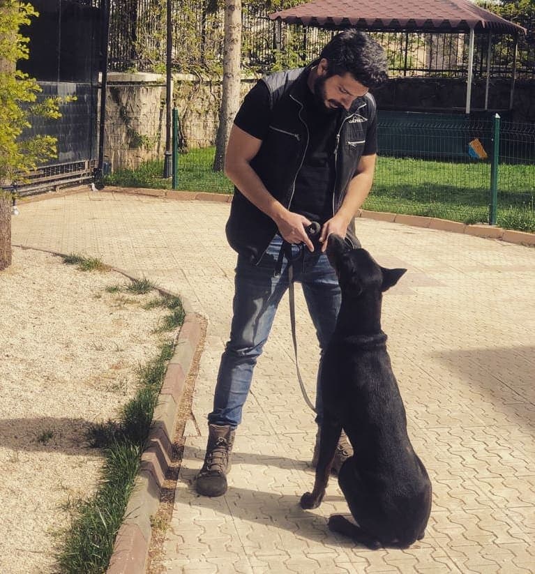 Arda G. — çalışma 7