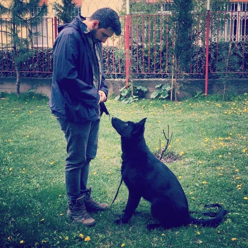 Arda G. — çalışma 8