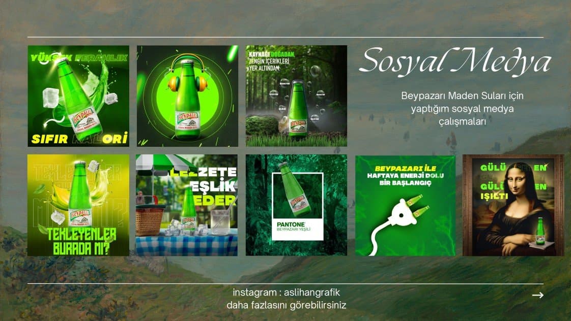 Aslıhan S. — çalışma 3