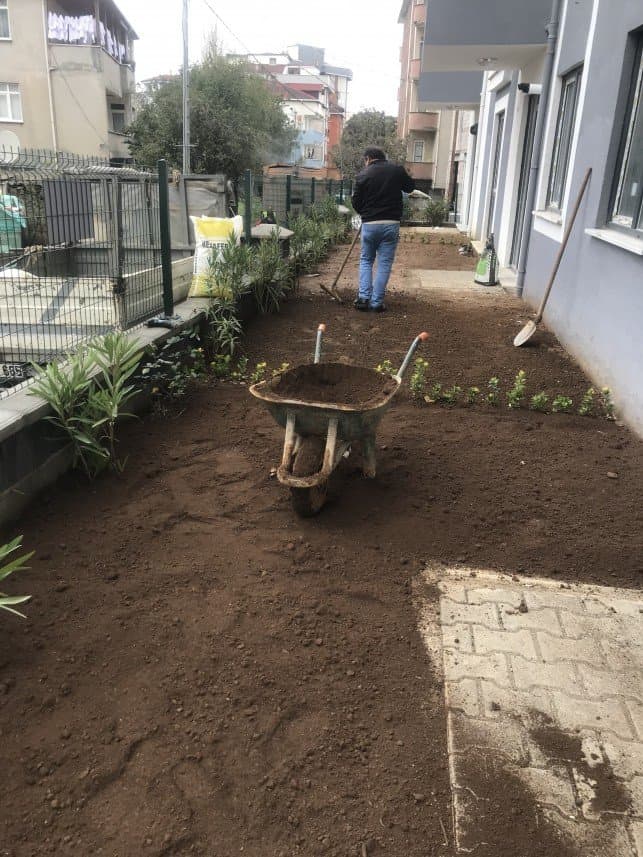 Atilla Y. — çalışma 7