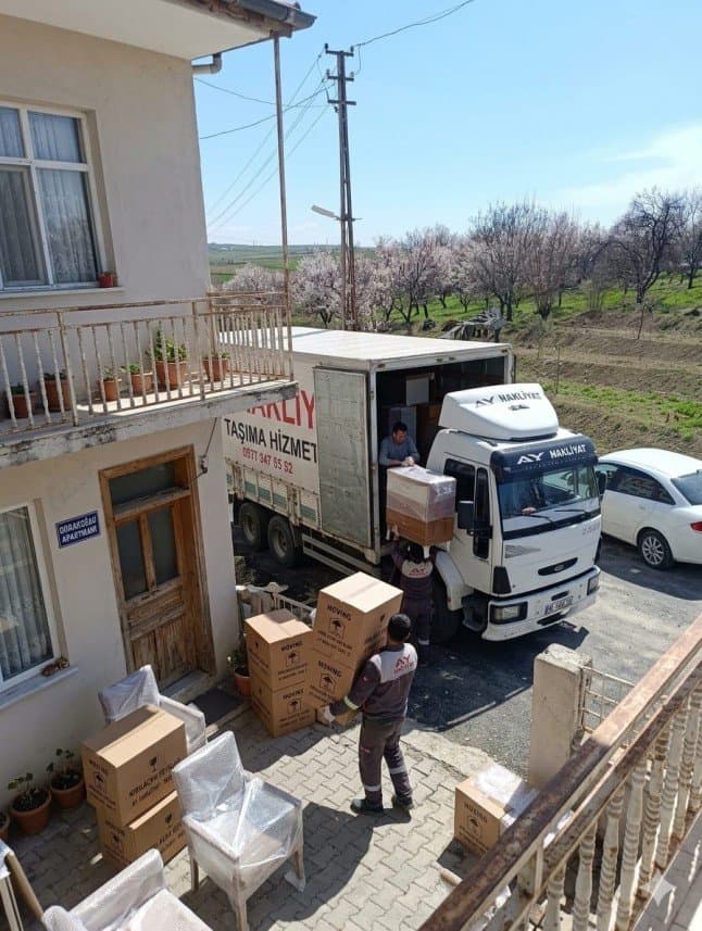 Ay N. — çalışma 3