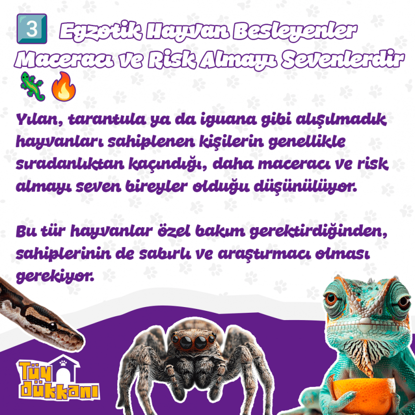 Ayberk B. — çalışma 1