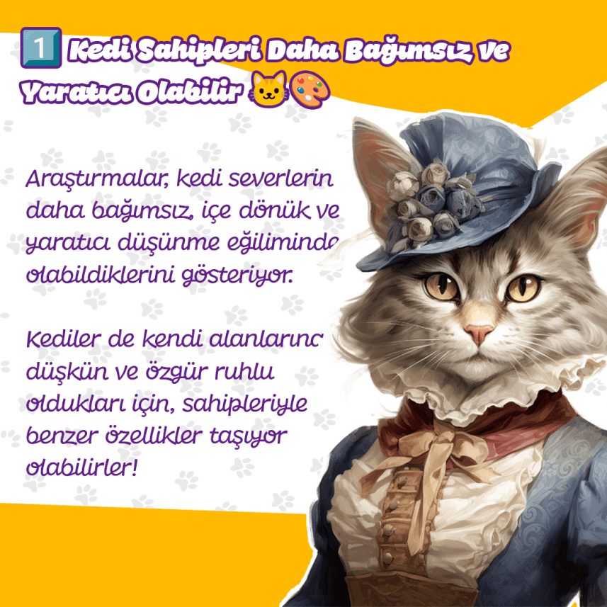 Ayberk B. — çalışma 4