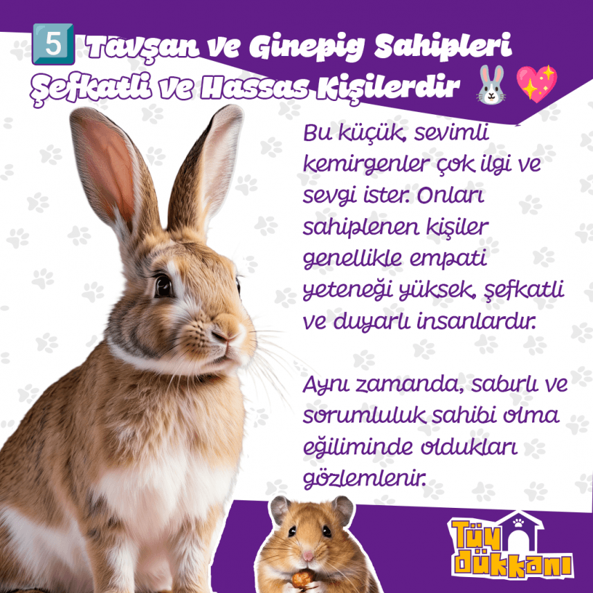 Ayberk B. — çalışma 5