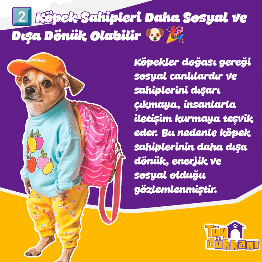 Ayberk B. — çalışma 6