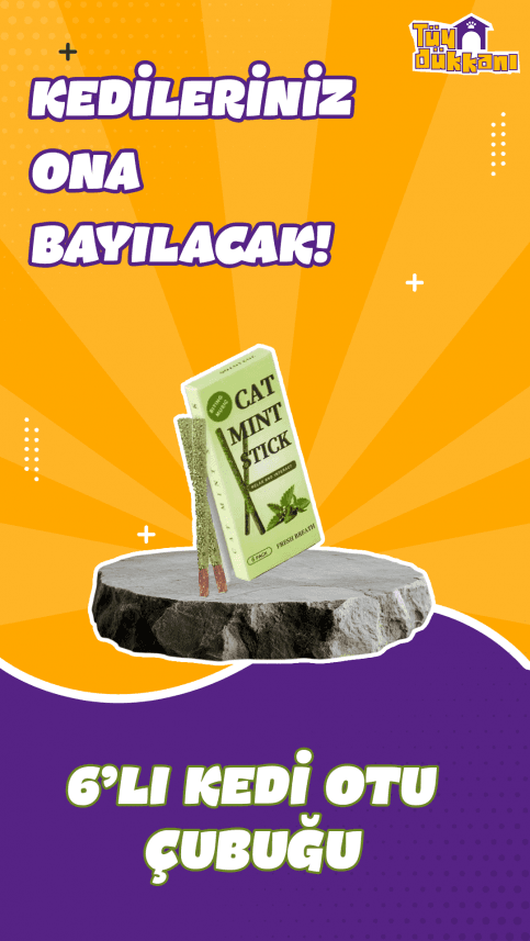 Ayberk B. — çalışma 8