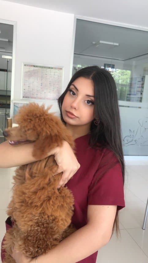 Ayça A. — çalışma 1