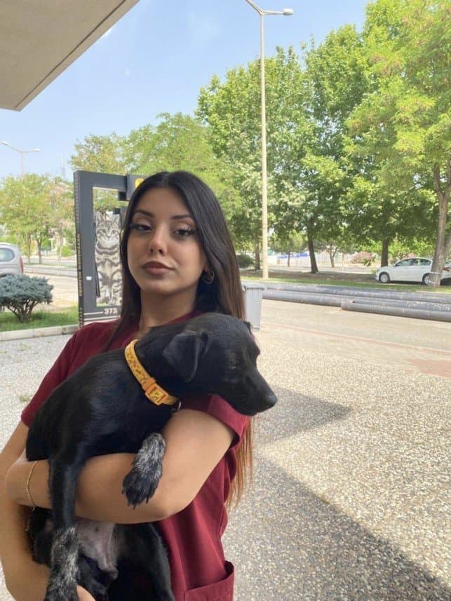 Ayça A. — çalışma 2