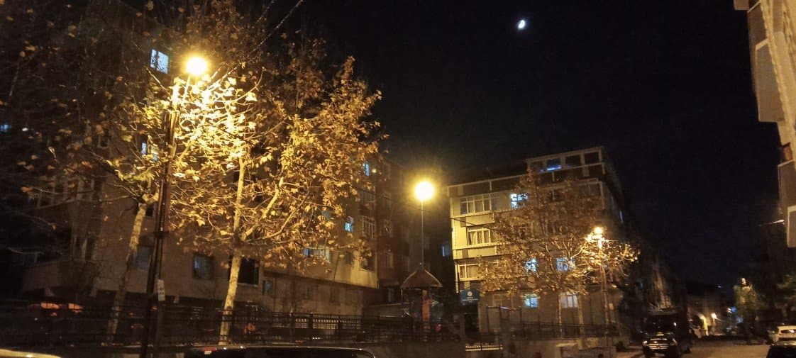 Ayla Y. — çalışma 4