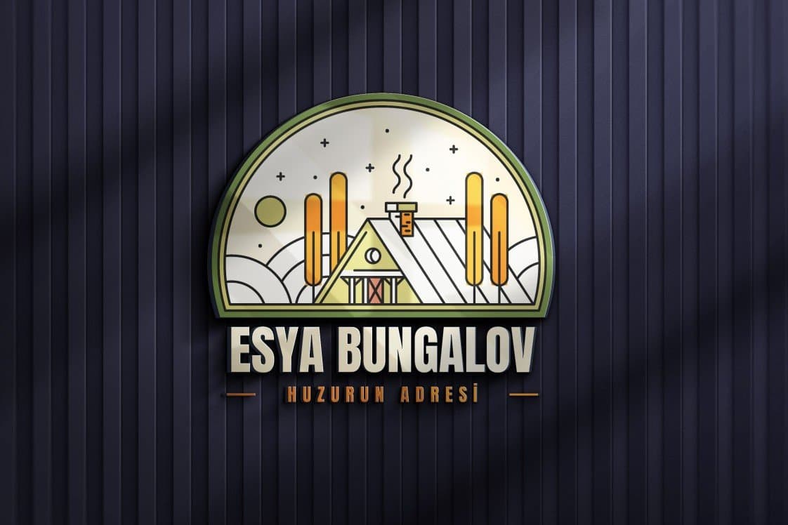 Aylin Y. — çalışma 6