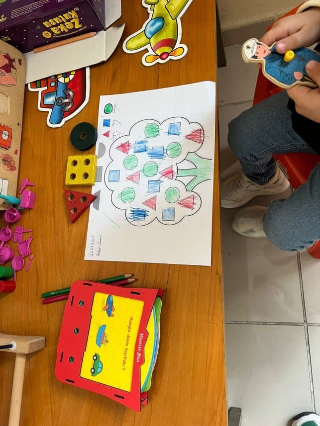 Ayşegül Ç. — çalışma 6