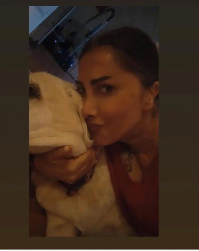 Ayşegül K. — çalışma 1
