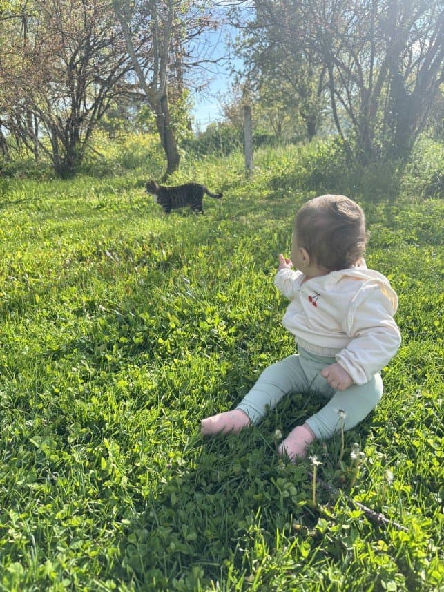 Aysu Ş. — çalışma 3