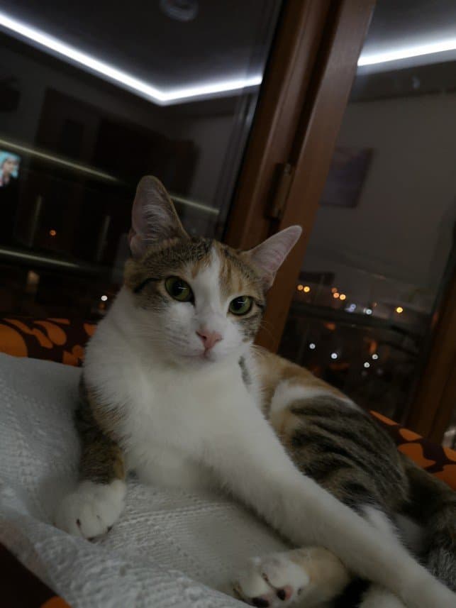 Ayten K. — çalışma 6