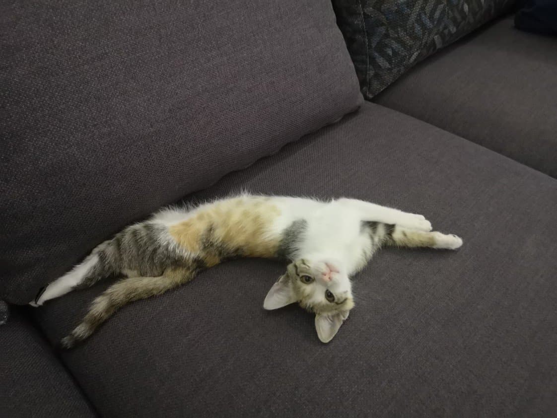 Ayten K. — çalışma 4
