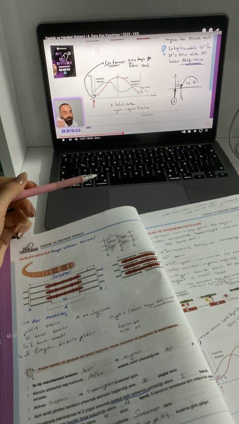 Azra Ö. — çalışma 1