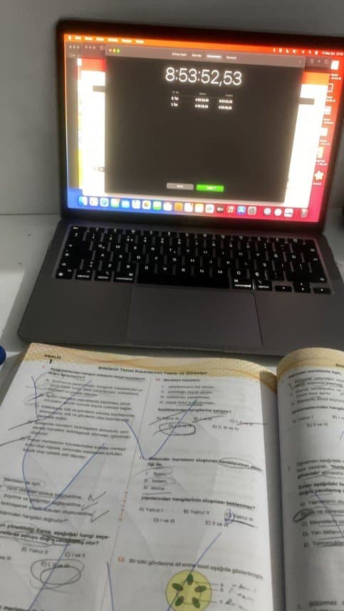 Azra Ö. — çalışma 2