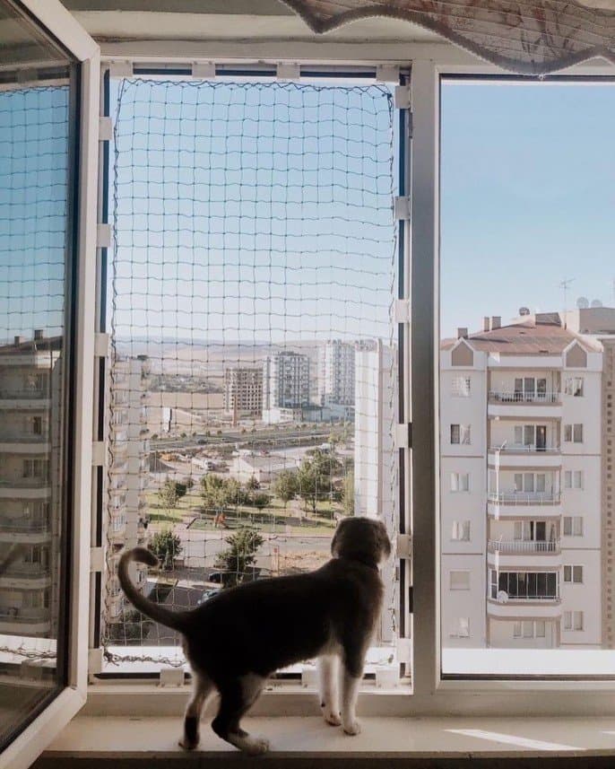 Barış K. — çalışma 2