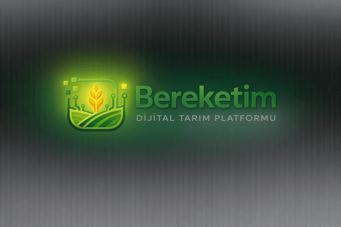 Barış S. — çalışma 5