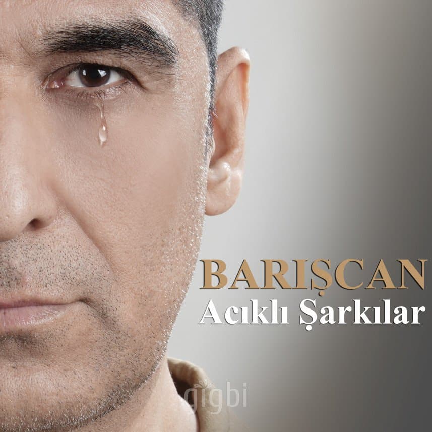 Barışcan — çalışma 4